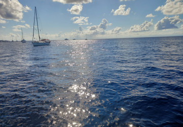 Lebendig und frei &ndash; Deine Auszeit am Meer