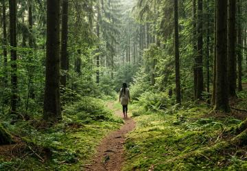 Waldbaden, Barfu&szlig;pfade, Schwarzwald: Warum der Sommerurlaub die beste Erdungskur ist